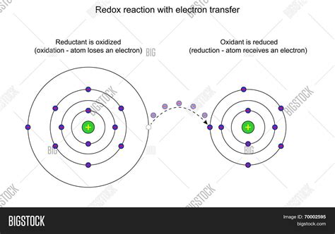 Redox Reaction Vector & Photo (Free Trial) | Bigstock