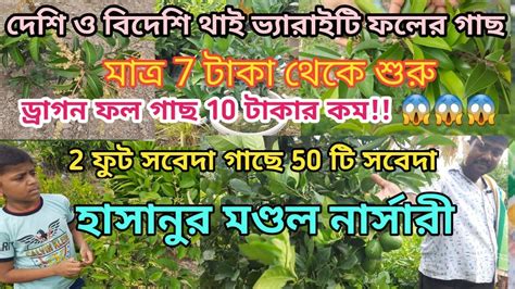 Cheapest Nursery অল্প দামে ফলের গাছhasanur Nursary ️ ️ Only Fruit