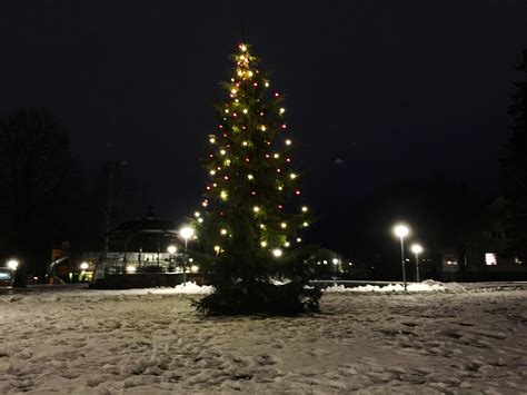 Christmas tree in Sweden : r/ChristmasTrees