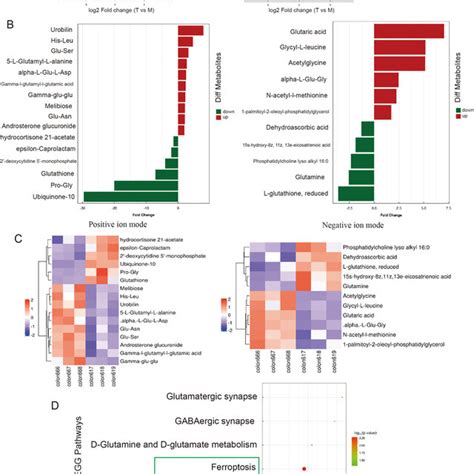 Untargeted Metabolomics Of Dss Induced Colitis And Msc Treated Colon