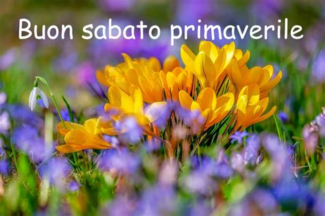 Buon Sabato Primaverile Immagini Buongiorno Per Sabati Di Primavera