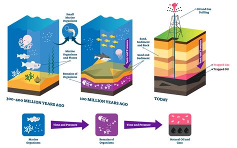 Fossil Fuels Diagram Energy