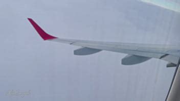 Branlette et pipe très bâclées dans un avion si risqué en public XVIDEOS