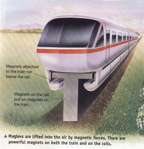 A Magnetic Levitation Train