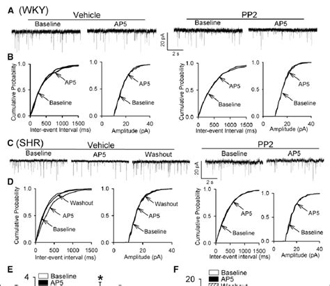 Src Contributes To Increased Presynaptic N Methyl D Aspartate Receptor