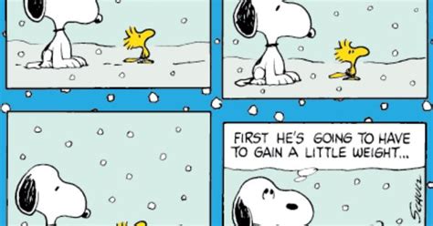 Snoopy And Woodstock Play In The Snow Today S Comic Strip