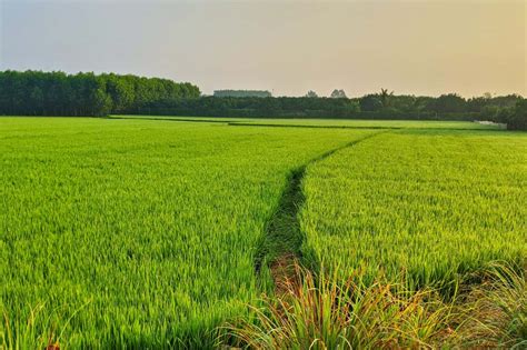 3 Acer Agriculture Land For Sale Near KMP Expressway An Agricultural