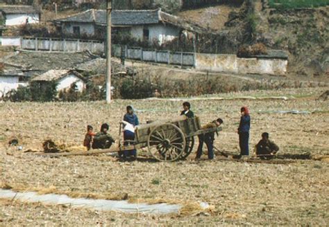 看韓國如何向朝鮮提供糧食援助，不忍心同胞挨飢餓 每日頭條