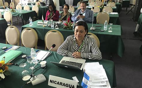 Nicaragua Participa Activamente En Reuniones Del Consejo De La