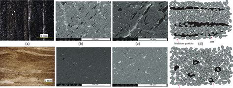 Micrographs And Om Models A Black Banded Shale Reflected Light