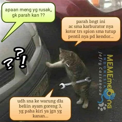 Meme Kucing Cosplay Jadi Montir Ternyata Multitasking