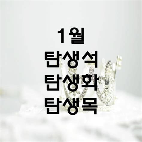 1월 1일 탄생석 탄생화 탄생목 알아볼까요 패밀리 라이프