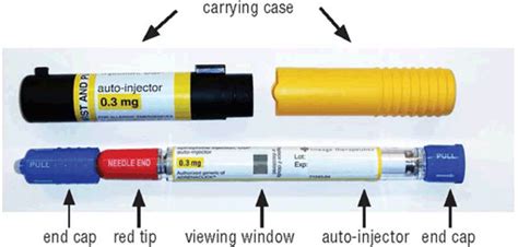 Epinephrine Autoinjector Epinephrine Injection Uses Dosage Side