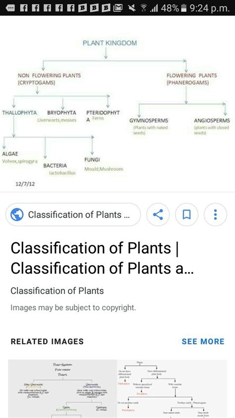 Classification Of Plant Kingdom Chart