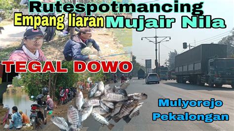 Rute Spot Mancing Mujair Nila Empang Liaran Mulyorejo Tegaldowo