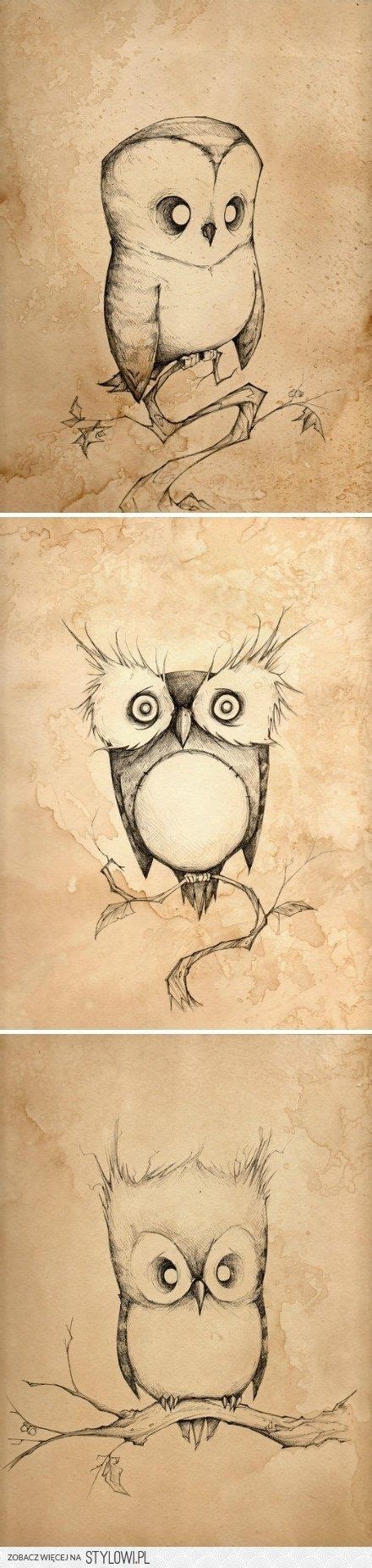 Three Drawings Of An Owl Sitting On Top Of A Tree Branch