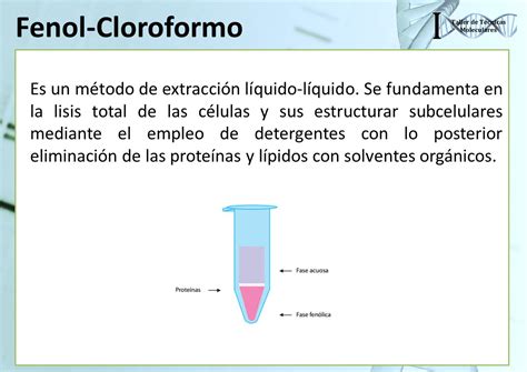 Fundamentos de la Extracción de ADN ppt video online descargar