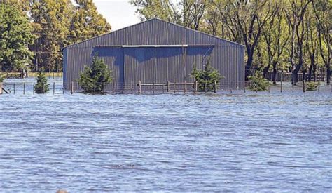 Extienden La Emergencia Agropecuaria En Un Municipio Del Interior