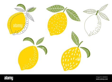 Doodle Tropical Fruit Lemon Citrus Set Isolated On White Background