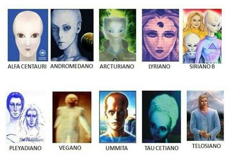 Alien Races Nordic Aliens Types Of Aliens Alien Concept Art