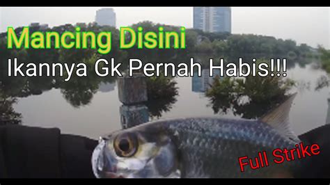 Mancing Liar Disini Gak Bikin Boncos Dapat Ikan Bulan Bulan