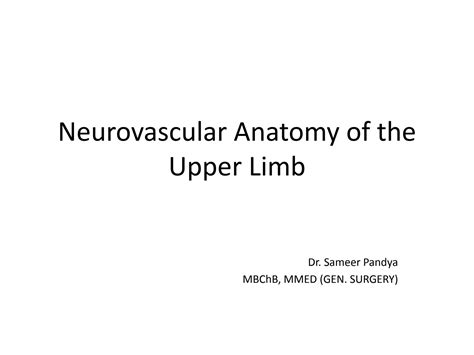 SOLUTION: Neurovascular anatomy of the upper limbs human anatomy ...