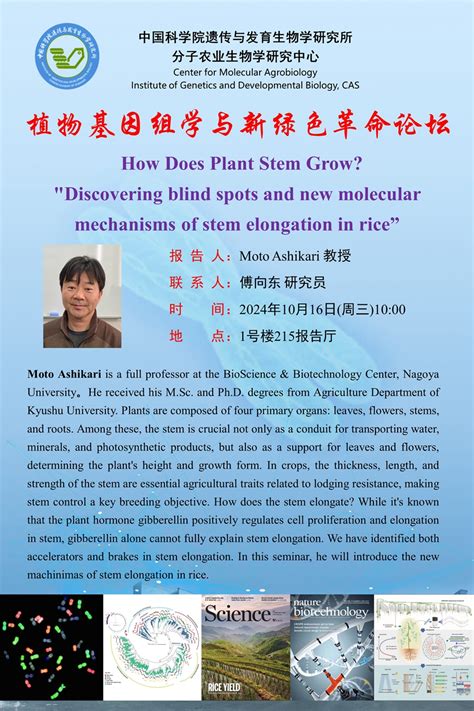 植物基因组学与新绿色革命论坛 How Does Plant Stem Grow Discovering blind spots and