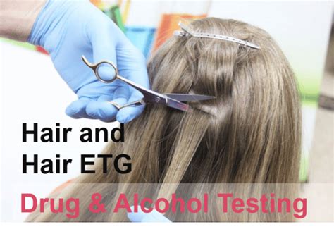 What Is The Hair Drug Test By National Drug Screening