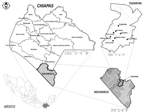 Ubicación de Tuzantán en el contexto de la región Soconusco Chiapas