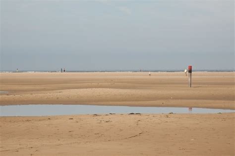 Sand Dune Restoration Project Could Solve Coastal Erosion Amid Global ...