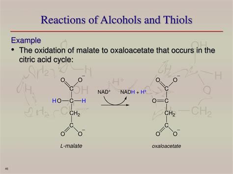 Ppt Chem Unit Organic Molecules Iii Alcohols Thiols Ethers