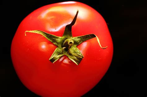 Tomate Vegetal Comida Foto Gratis En Pixabay Pixabay