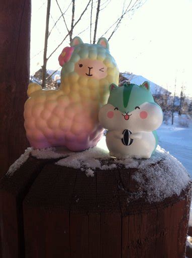 Alpaca And Poli Photoshoot Squishy Love Amino