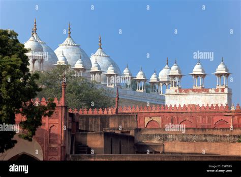 Moti Masjid Red Fort Hi Res Stock Photography And Images Alamy