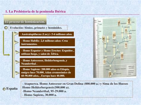 Pdf La Prehistoria De La Pen Nsula Ib Rica Los