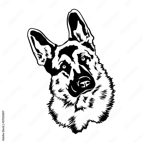 German Shepherd Svg Dog Svg Files For Cricut Stock Vector Adobe Stock