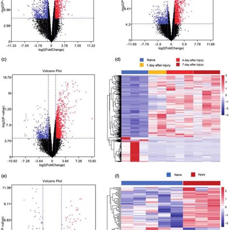 Volcano Plot Of The Differential Gene Expression In Gene Expression