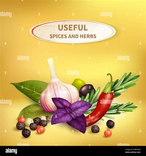 Colorful Realistic Background With Useful Herbs And Spices Such As