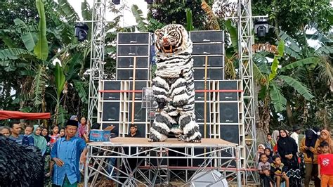 Can Macanan Singo Raung Atraksi Di Atas Panggung Bersama Drumband Al