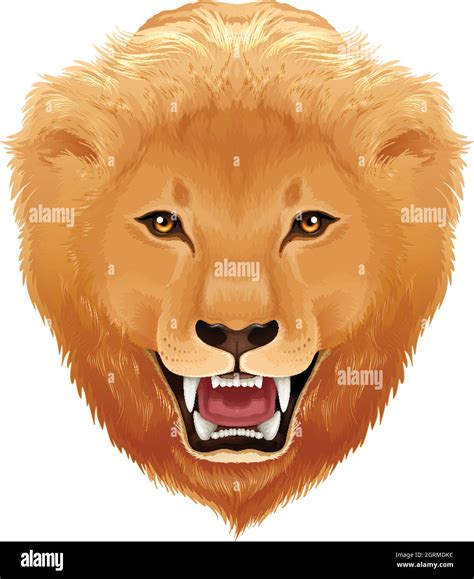 Lions Head White Background Stock Vector Image Art Alamy