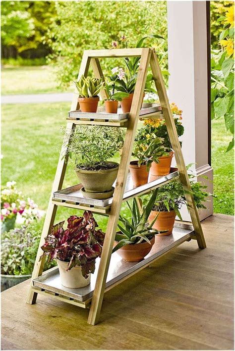 Cane Stand For Plants At Robert Jackson Blog