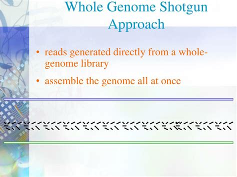 Ppt Topics In Nano Biotechnology Human Genome Project Lecture 12 Powerpoint Presentation