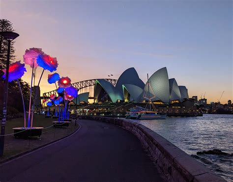 Lightscape transforms Sydney Royal Botanic Garden during Vivid 2023