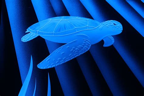 Etched Glass Led Turtle Krystal Glass Company