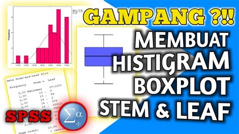 Mudah Banget Membuat Histogram Boxlpot Dan Stem And Leaf Sekaligus Menggunakan Spss Youtube