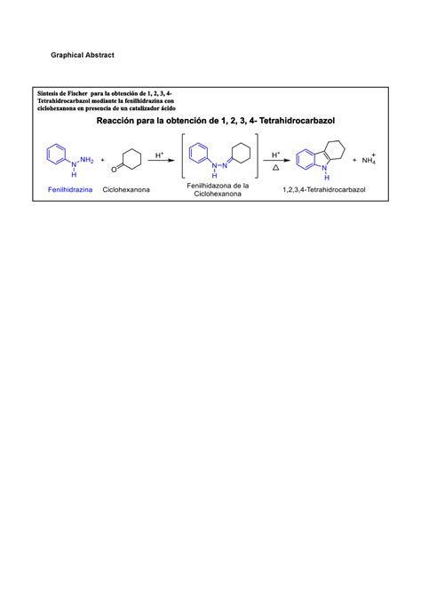 Pr Ctica S Ntesis De Indoles Obtenci N Del