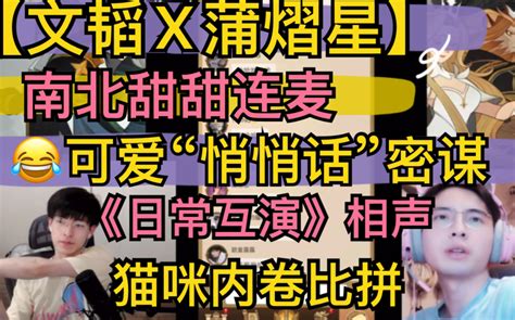 【文韬x蒲熠星】南北甜甜连麦，可爱“悄悄话”密谋，《日常互演》相声，猫咪欧气比拼内卷20210820《剑与远征》 超凶的狍子 超凶的狍子 哔哩哔哩视频