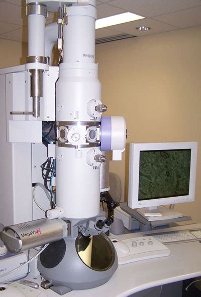 Transmission Electron Microscope - Neurophotonics Centre