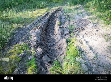 Tractor Tire Tracks In Mud Green Grass Around Dried Up Ground In