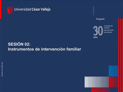 SESION 2 Instrumentos de intervención ficha familiar familiograma